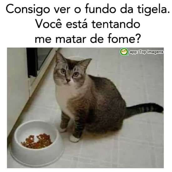 Matar de fome