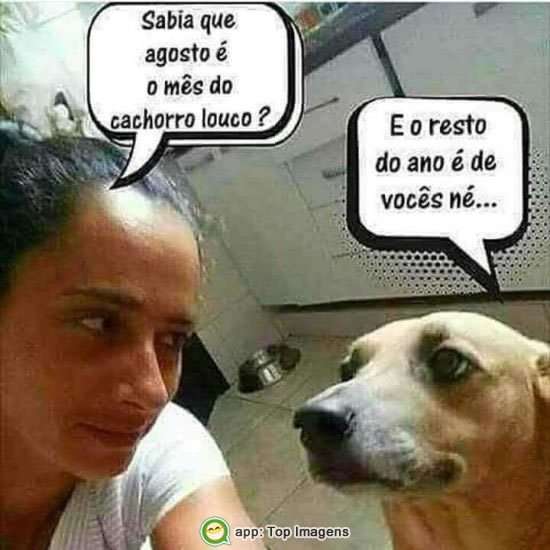 Mês do cachorro louco