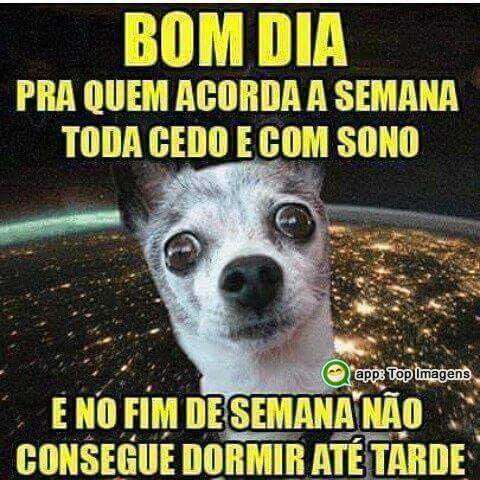 Bom dia