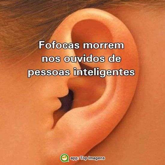 Pessoas inteligentes