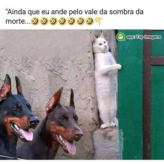 Vale da sombra