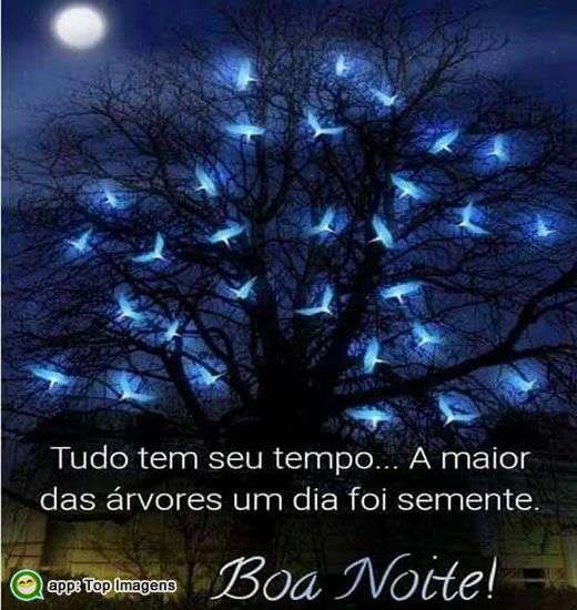 Boa noite