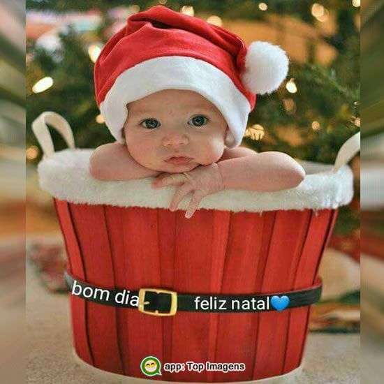 Bom dia e Feliz Natal