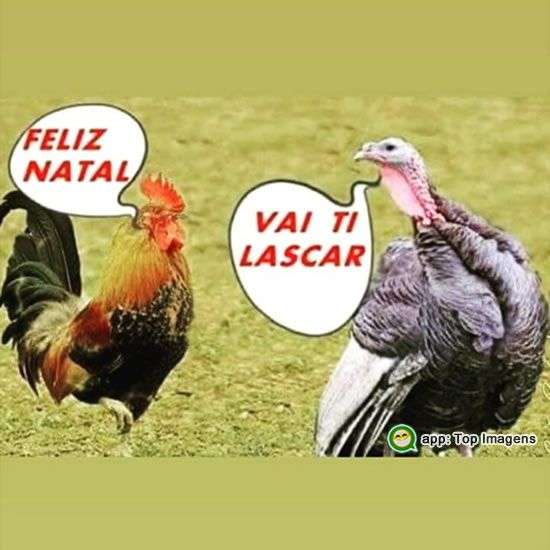 Feliz Natal