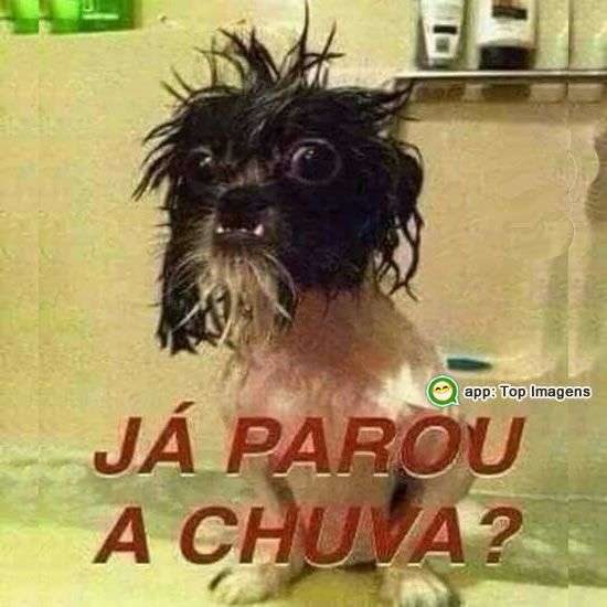 Já parou a chuva?