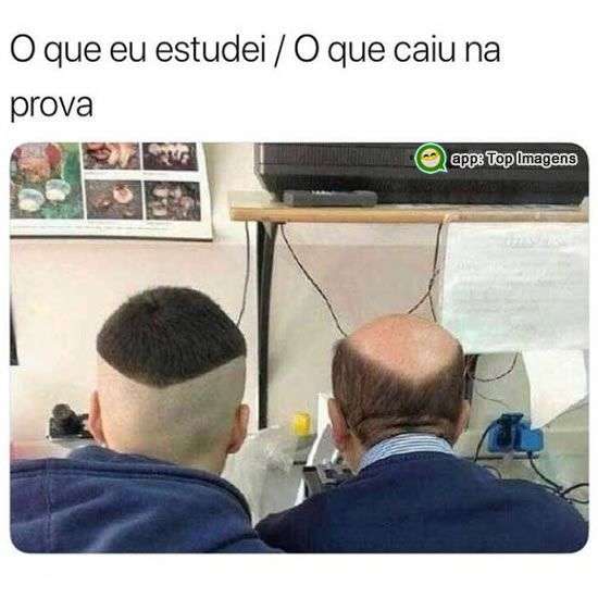 O que estudei e o que caiu