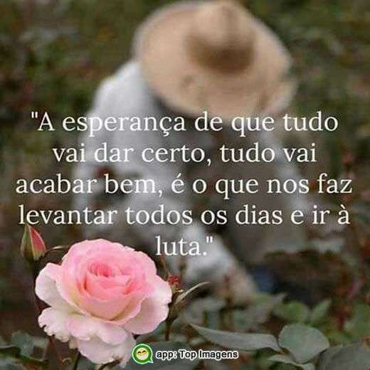 Tudo vai dar certo