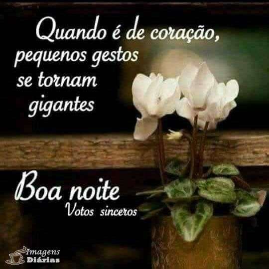 Boa noite