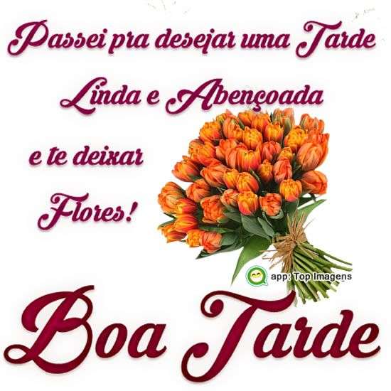 Boa tarde