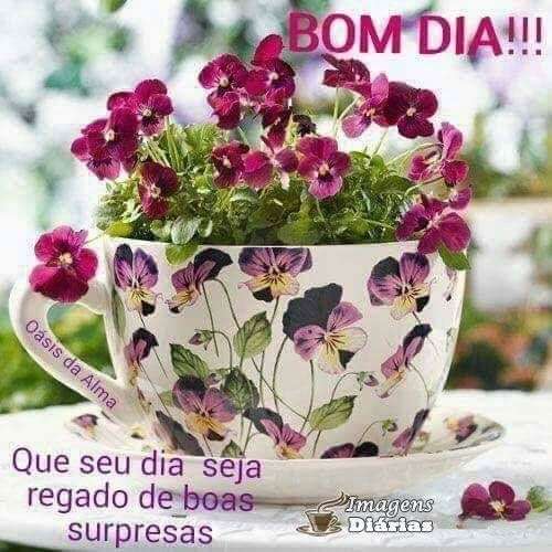 Bom dia