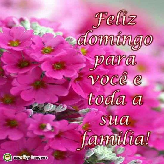 feliz-domingo-16251JkUT65YD98.jpg