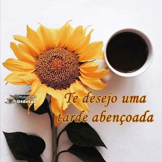 Boa tarde
