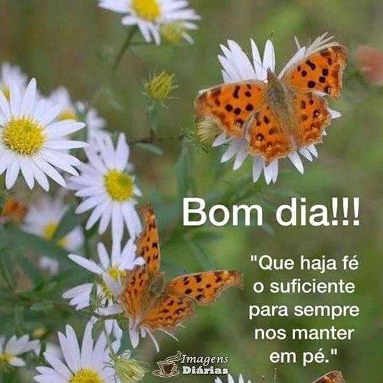 Bom dia