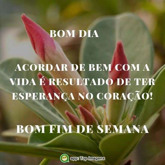 Bom fim de semana