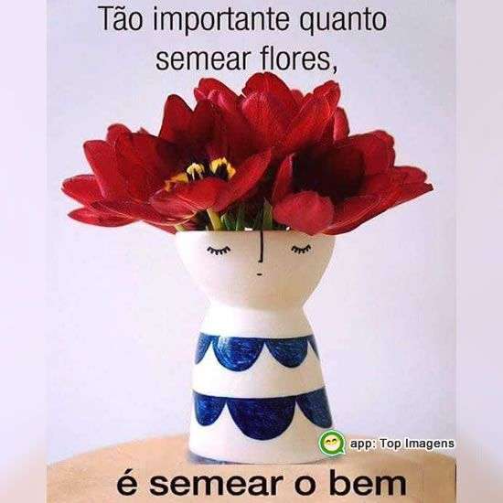 Semear o bem