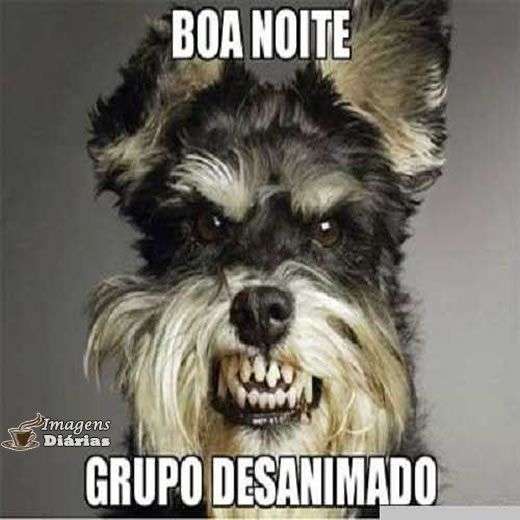 Boa noite grupo desanimado