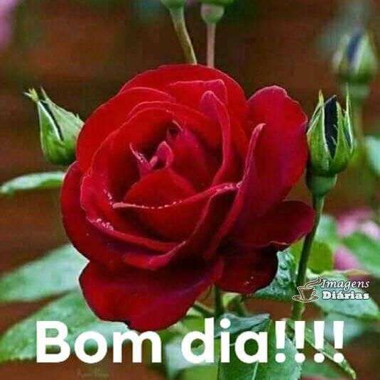 Bom dia