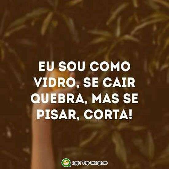 Sou como o vidro