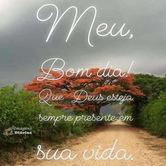 Meu bom dia