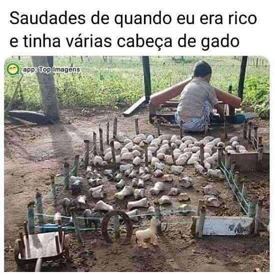 Quando eu era rico