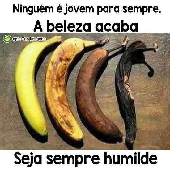 Seja sempre humilde