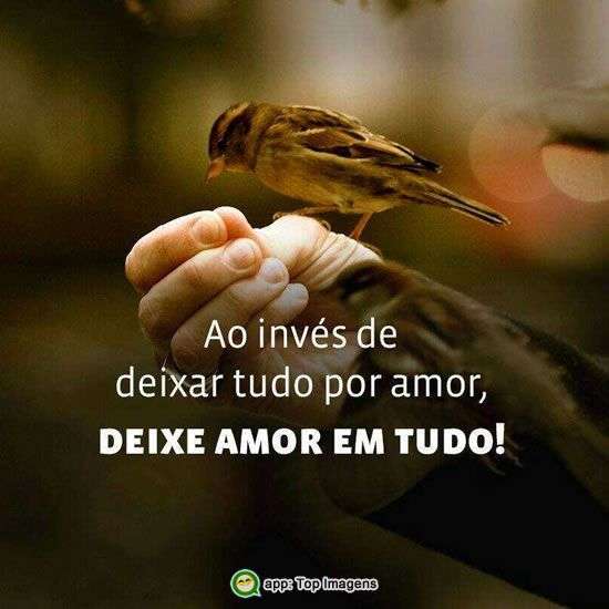 Tudo por amor