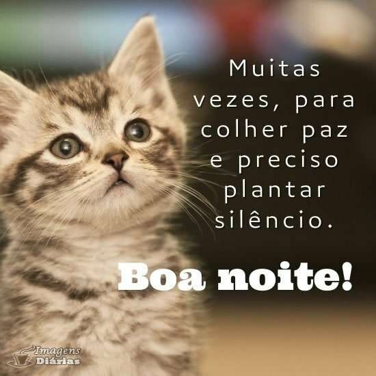 Boa noite