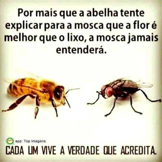 Cada um vive a sua verdade