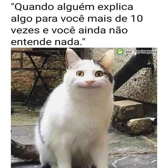 Não entendo