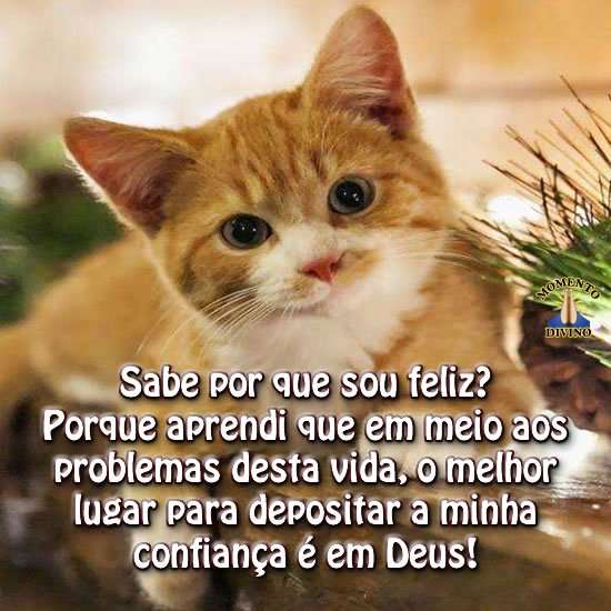 Sabe porque sou feliz?