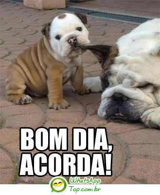 Bom dia, acorda