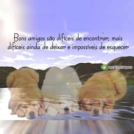 Bons amigos