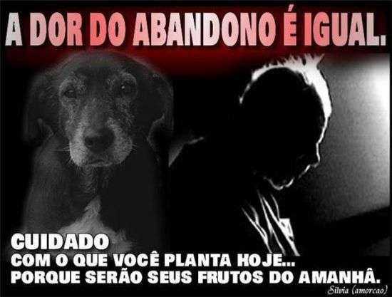 Dor do abandono