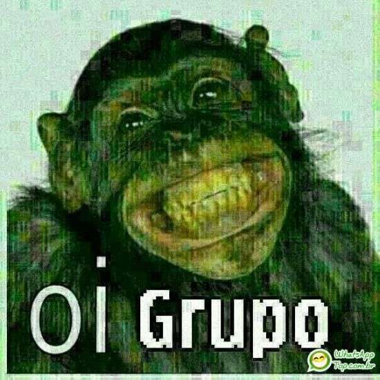 Oi grupo