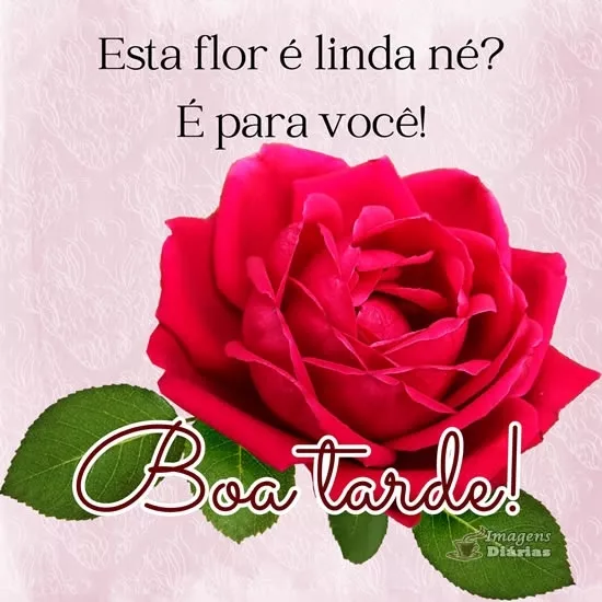 Boa tarde - Top Imagem - 21661 Boa tarde - Top Imagem - 21661