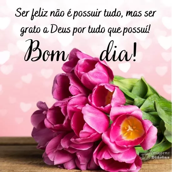 Bom dia - Top Imagem - 21630 Bom dia - Top Imagem - 21630