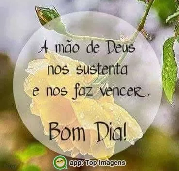 Bom dia - Top Imagem - 4468 Bom dia - Top Imagem - 4468