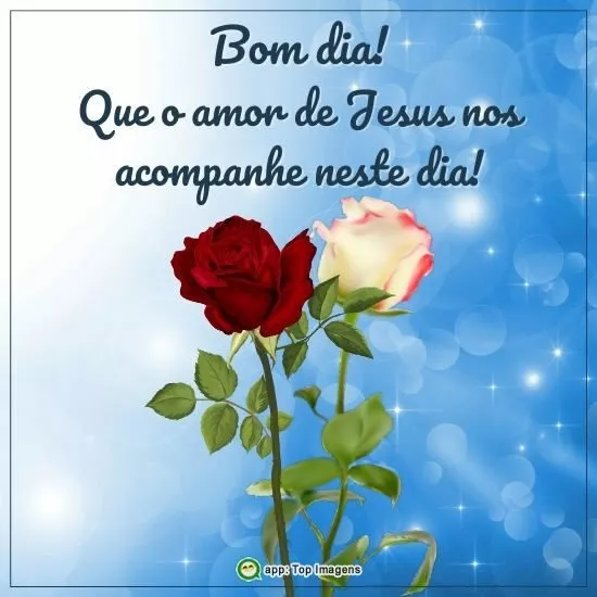 Bom dia - Top Imagem - 7691 Bom dia - Top Imagem - 7691