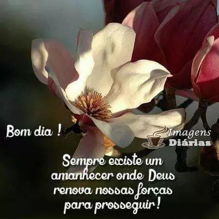 Bom dia - Top Imagem - 8441 Bom dia - Top Imagem - 8441