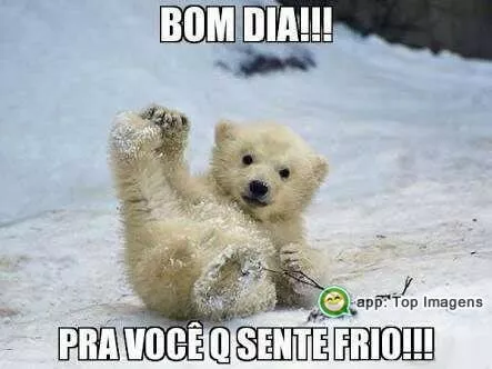 Bom dia pra você que sente frio - Top Imagem - 8667 Bom dia pra você que sente frio - Top Imagem - 8667