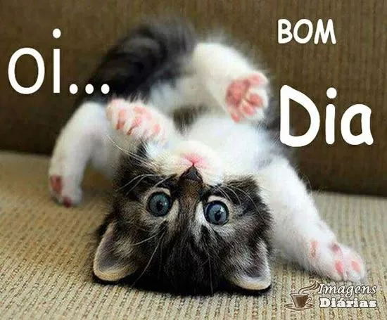 Bom dia - Top Imagem - 10305 Bom dia - Top Imagem - 10305