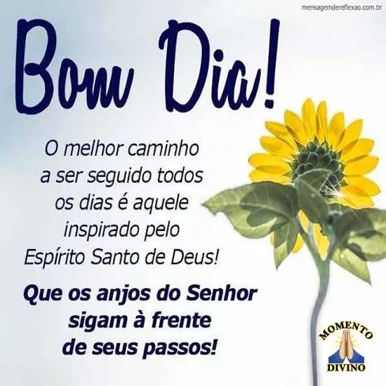 Bom dia - Top Imagem - 16025 Bom dia - Top Imagem - 16025